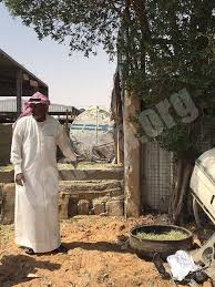 بالـ صور صحيفة قضايا تكشف حقيقة الحمار جوار مطعم السروات في الخرج صحيفة قضايا