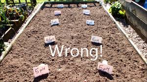 Check spelling or type a new query. Hgv How To Test And Adjust The Soil Ph In A Raised Bed Start To Finish Youtube