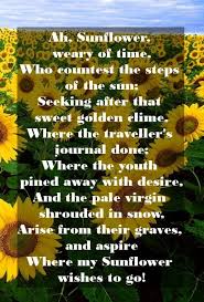 Indeed, the word for a book of poems, 'anthology', even wendy cope, 'flowers'. 20 Best And Happiest Sunflower Quotes Poems And Sayings Sunflower Quotes Sunflower Poem Garden Poems
