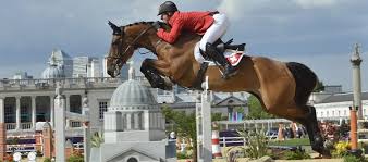Irish Sport Horse Studbook Horse Sport Ireland
