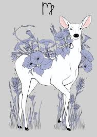 Here are all the zodiac signs and their own spirit animal. Virgo Spirit Animal Virgo Art Astrology Virgo Zodiac Signs Virgo