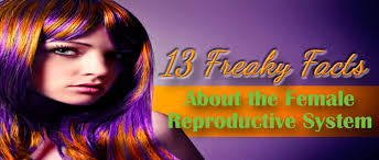 You can use this swimming information to make your own swimming trivia questions. 13 Freaky Facts About The Female Reproductive System