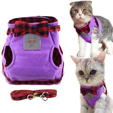 Kitchen flavor makanan kucing parsi johor career. Best Top Kucing British Brands And Get Free Shipping Ki647ann