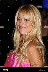 Pam davis hi-res stock photography and images