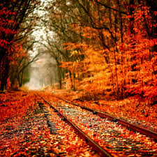 Autumn Ipad Wallpapers Wallpaper Cave