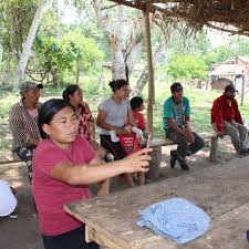 Centro de Estudios Jurídicos e Investigación Social