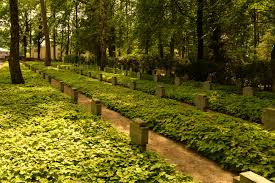 Effeld und ophoven gebildet wird, German War Graves Wassenberg Wassenberg Tracesofwar Com