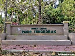 Compartment 2, machinchang forest reserve, langkawi. Pantai Pasir Tengkorak Dan Hutan Lipur Pasir Tengkorak Langkawi Xplorasi Destinasi