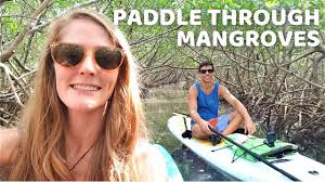 Petersburg has given me a lifetime of experience and knowledge in shell key preserve. Weedon Island Preserve St Petersburg Florida Sup Kayak In Tampa Bay Youtube