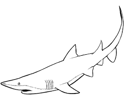Dibujos de tiburon AZUL