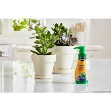 Ou tu n'as tout simplement pas la main verte? Miracle Gro 8 Oz Miracle Gro Succulent Plant Food 1000531 The Home Depot