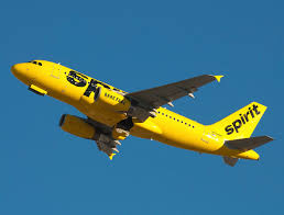 Image result for Natural Yellow 2000 Fleet