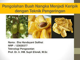 Keripik buah glory asli produksi home made dari batu, malang. Pengolahan Buah Nangka Menjadi Keripik Dengan Teknik Pengeringan Ppt Download