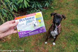This is a heavy duty chemical, toxic to cats and fish, but not dogs (good to know if your hiking dog licks your hand). 6 Essential Tips For Hiking With Dogs In Any Season