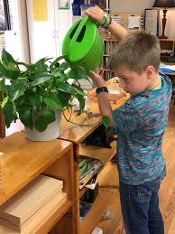 Don't let indoor plants intimidate you. Indoor Plants For The Classroom Home Garden Information Center