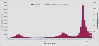 The Pandemic One Year On Trends And Statistics Between Three Waves Of The Covid 19 Pandemic In Ireland Public Policy