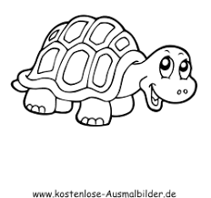 Ausmalbild Schildkrote 2 Zum Ausdrucken