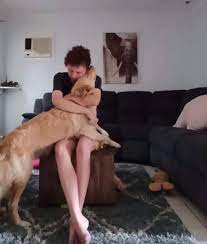 Bringing their owner a phone during an anxiety attack, to call a trusted friend or therapist. Panic Attack Dog Help