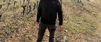 Nouvelle vie et nouveaux projets pour les frères Lilian et Eddy Valentin