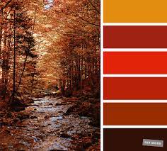 We did not find results for: 59 Pretty Autumn Color Schemes Burnt Orange Brown