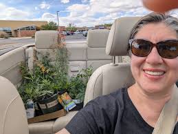 Growing a garden in the desert