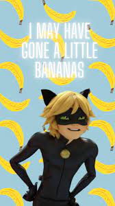 We did not find results for: I Made Cat Noir Wallpapers Because Yes Fandom