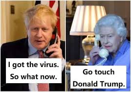 Boris, johnson, boris johnson, brexit, covid, corona, coronavirus, uk, election, eu, farage, funny boris, prime minister. What Should I Do Coronavirus Memes