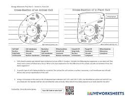 Most plant cells have evolved to use vacuoles as water storage organelles, which provide a variety of functions to the cell. Biology Milestones Prep Animal Vs Plant Cell Worksheet