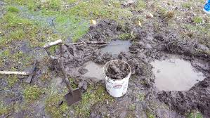 After 1 season of adding bacteria without aeration the pond bottom along the shore a couple of feet in went from black to looking almost like new fresh clay. Pond Muck Plantings April 19 2020 Alchemecology