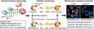 Image result for COMT Inhibitor