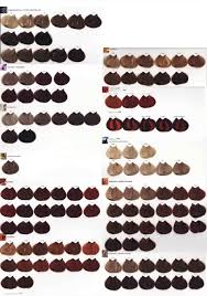 Loreal Hair Highlights Color Chart Loreal Hair Hair Color