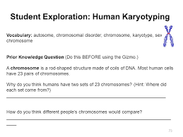 The human karyotyping gizmo shows unduplicated chromosomes. Biology Content And Pacing Q2 Q3 Ppt Download