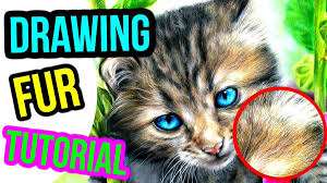 In my drawing, because i was drawing the fur on my cat's face, i used very short pencil marks to make the lines. Hildur K Olafsdottir On Twitter How To Draw Realistic Fur Coloured Pencil Drawing Tutorial Step By Step Beginners Blending Blendingcolouredpencil Coloredpencil Colouredpencil Colouredpenciltutorial Drawrealisticfur Drawing