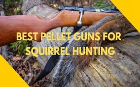 I thought about a couple of different airguns gut i think they would wound and eventually kill the squirrel. 5 Best Pellet Guns For Squirrel Hunting Beginners Ultimate Guide July 2021