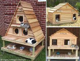 cat and dog house ideas pets pinterest plan niche pour chat avec et niche exterieur pour chat 22 cat and dog house ideas pets pinter cat house dog houses house