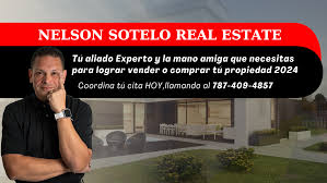 Nelson Sotelo Real Estate
