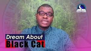 Dream About Black Cat Find Out The Biblical Dream Meaning Youtube