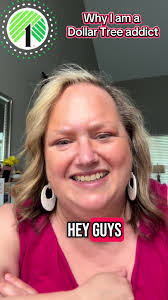 Confession of A Dollar Tree Addict Temu Haul