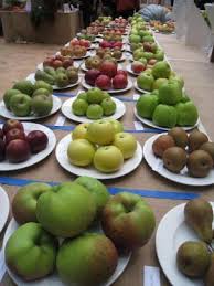 Your first saturn return at age 29.5 is often considered. Choosing Apple Varieties To Plant The Orchard Project