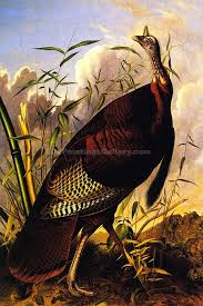 Decorate your walls with turkey canvas prints from zazzle! Wild Turkey By John James Audubon Fine Art Paintings Sale Oil Paintings Gallery