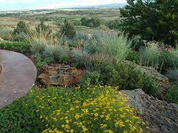 Xeriscape plants can easily handle the dry conditions of colorado springs without gallons of extra. 63 Xeriscape Ideas Xeriscape Plants Low Water