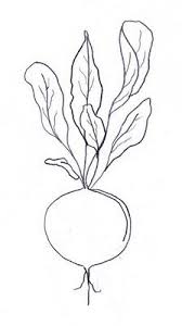 Aarti Draws Radish Vegetable Drawing Drawings Watercolor Cards Check out our drawing from photo selection for the very best in unique or custom, handmade pieces from our digital shops. pinterest