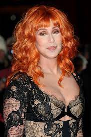 Http Www Dailystab Com Blog Wp Content Uploads 2010 12 Cher Burlesque Uk Jpg Cher Bono Cher Photos Burlesque