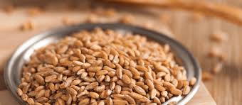 We did not find results for: Farro Perlato Proprieta Cottura E Ricette Cose Del Posto