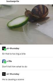 16 Tumblr Posts That Are Very Very Cute Animal Tumblr Cute Funny Animals Fresh Memes