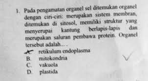 Di awal ini, admin langsung memberikan link downloadnya. Kompetisi Sains Nasional Ksn Pembahasan Soal Osn Ipa Smp Tingkat Kabupaten 2017