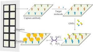 Will i need tumor marker tests after my cancer treatment. Highly Sensitive Detection Of Multiple Tumor Markers For Lung Cancer Using Gold Nanoparticle Probes And Microarrays Sciencedirect