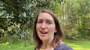 Trees for pollinators and tea