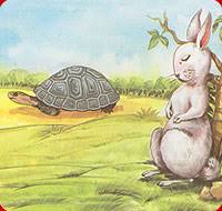 slow and steady wins moral story slow and steady wins moral story