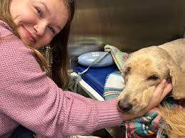 Fundraiser for Martha Kennedy by Charis Christy : Please help Mickey  recover from his hit-and-run accident